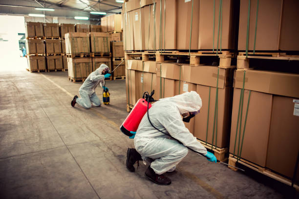 Best Cockroach Control Services  in Avonia, PA