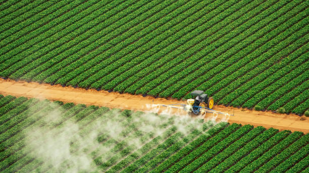 Best Pest Removal Services  in Avonia, PA